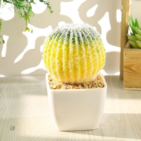 Petite plante artificielle en forme de cactus