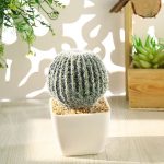 Cactus décoratif en plastique pour ambiance moderne