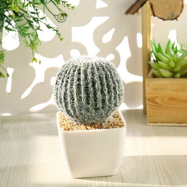 Cactus décoratif en plastique pour ambiance moderne