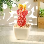 Faux cactus décoratif pour une ambiance moderne et naturelle