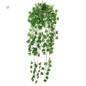 Faux lierre en plastique pour une touche de verdure
