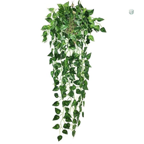 Plantes en lierre artificiel pour un effet naturel sans entretien