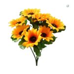 Faux tournesol, alternative durable et économique