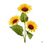 Faux tournesol, choix pratique pour les amateurs de fleurs
