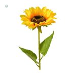 Tournesol artificiel, parfait pour un style champêtre