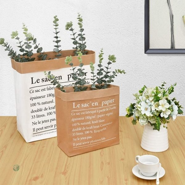 Feuille d'eucalyptus, touche naturelle dans votre espace