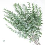 Feuille d'eucalyptus, ajout de verdure à votre décor