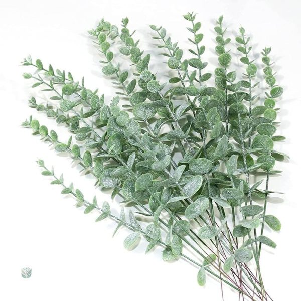 Feuille d'eucalyptus, ajout de verdure à votre décor