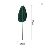 Feuilles de bananier pour ambiance naturelle à la maison