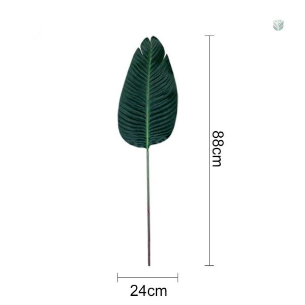 Feuilles de bananier pour ambiance naturelle à la maison