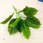 Feuilles vertes artificielles pour un style exotique