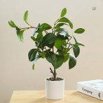 Ficus artificiel réaliste en plante verte décorative