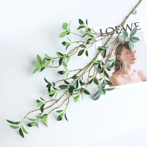 Branche de Ficus verte, ajout naturel à votre décoration