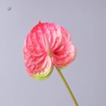 Fleur artificielle Anthurium pour décoration intérieure