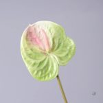 Anthurium en soie, fleur artificielle élégante
