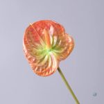 Fleur Anthurium, design moderne pour ambiance chic