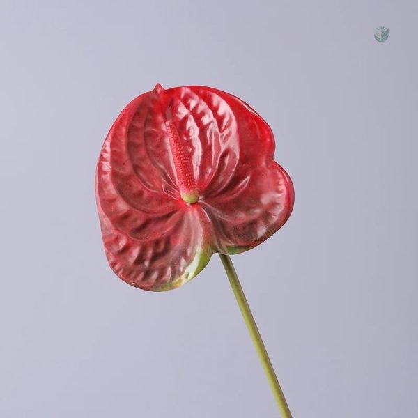 Anthurium artificiel, touche florale durable