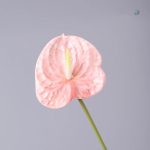 Fleur Anthurium synthétique, entretien facile