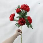 Fleur Chrysanthème pour décoration intérieure