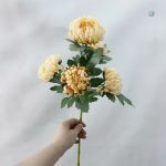 Fleur Chrysanthème résistante aux UV