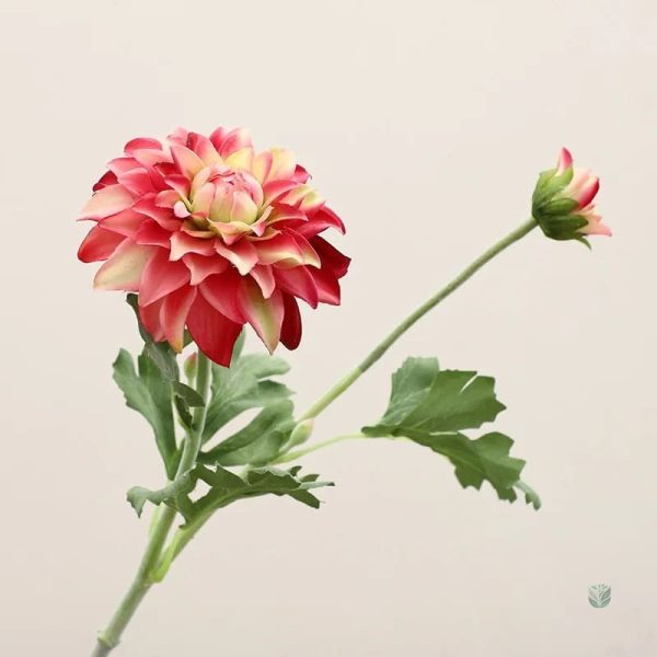 Fleur dahlia durable pour événements