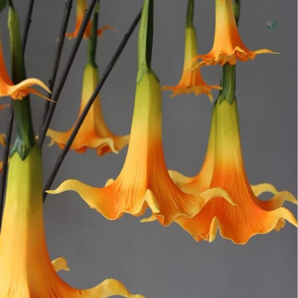 Fleur Datura décorative pour intérieur