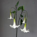 Arrangement de fleurs Datura pour décoration