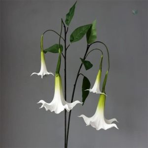 Arrangement de fleurs Datura pour décoration