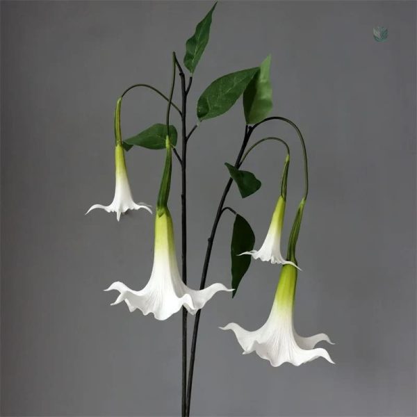 Arrangement de fleurs Datura pour décoration
