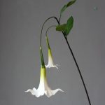 Datura, fleur artificielle pour bouquets