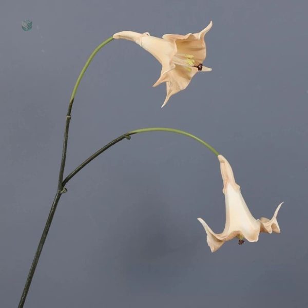Datura artificielle, pièce maîtresse pour un décor moderne