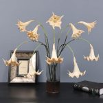 Fleur Datura, choix idéal pour une touche florale intemporelle