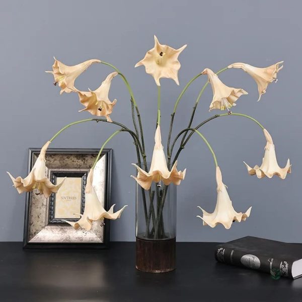 Fleur Datura, choix idéal pour une touche florale intemporelle