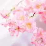 Cerisier Japon artificiel pour embellir l'intérieur