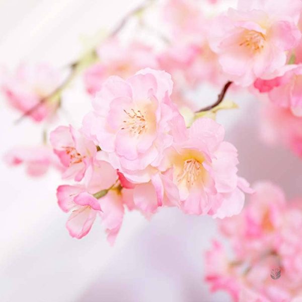 Cerisier Japon artificiel pour embellir l'intérieur