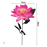 Lotus décoratif idéal pour arrangements floraux
