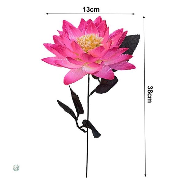 Lotus décoratif idéal pour arrangements floraux