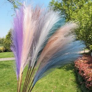 Fleur de Pampa artificielle décorative