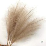 Fleur de Pampa pour un décor chic et contemporain