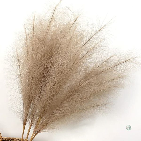 Fleur de Pampa pour un décor chic et contemporain