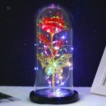 Fleur éternelle, beauté durable pour la décoration intérieure