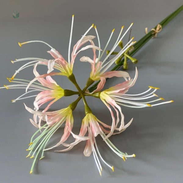 Fleur Higanbana, accessoire idéal pour votre maison