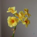 Fleurs artificielles de narcisses pour une ambiance chaleureuse