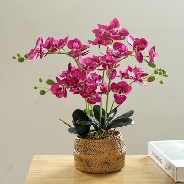 Orchidée artificielle en fleur, élégante et durable