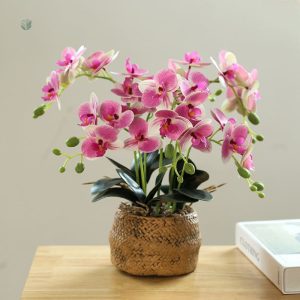 Orchidée décorative en plastique, couleur vive et réaliste