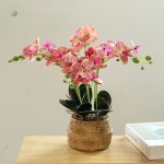 Composition florale d'orchidées, ajout de charme à votre espace