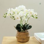Orchidée artificielle, parfaite pour un cadeau intemporel