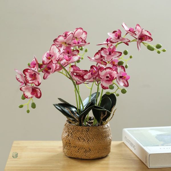 Fleur artificielle d'orchidée, embellit tous les environnements