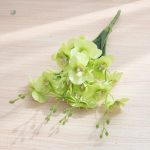 Orchidées décoratives pour décoration intérieure