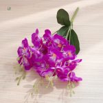 Orchidée design pour embellir les réceptions